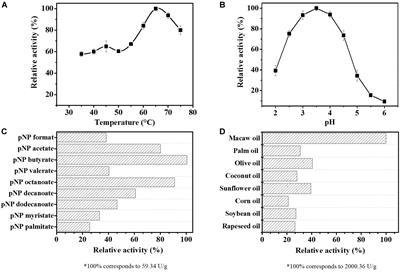 A Novel Fungal Lipase With Methanol Tolerance and Preference for Macaw Palm Oil